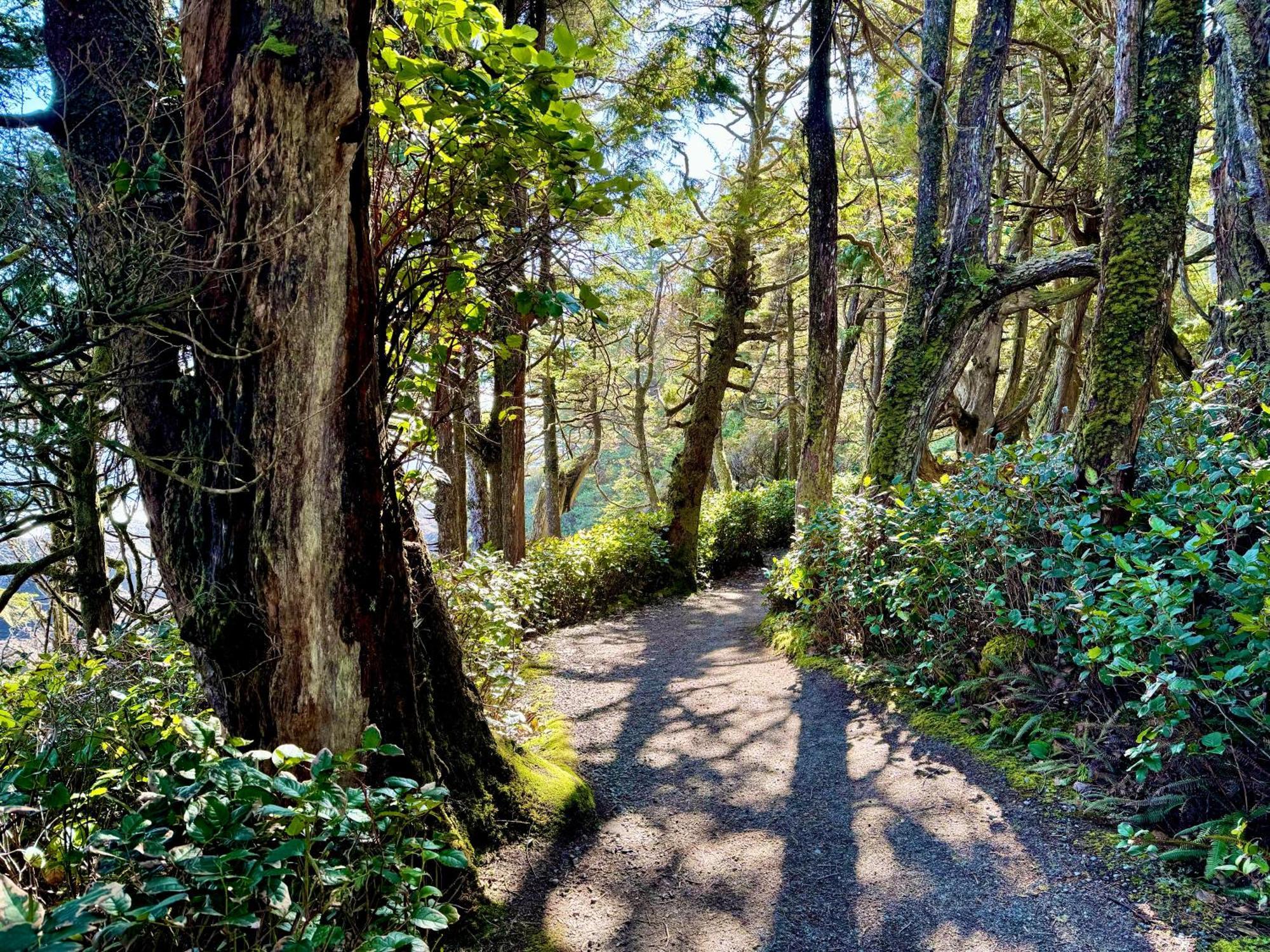 Black Rock Landing Ucluelet Esterno foto